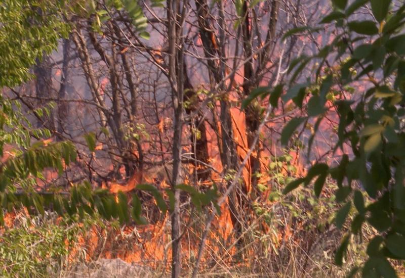 Požar kod Mostara i dalje aktivan - gašenje otežava vjetar